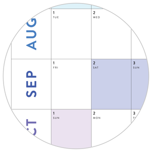 PRINTABLE 6' x 3' MASSIVE 2025 SIMPLIFIED WALL CALENDAR WITH RAINBOW WEEKENDS - INSTANT DOWNLOAD