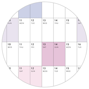 2026 - 2027 JULY Start Academic Wall Calendar | Mid-Year Monthly Planner | Student Teacher Family Giant Rainbow Calendar