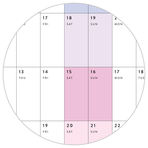 NEW FORMAT! GIANT 2025 - 2026 SEPTEMBER START ACADEMIC WALL CALENDAR | HORIZONTAL WITH ALIGNED WEEKENDS