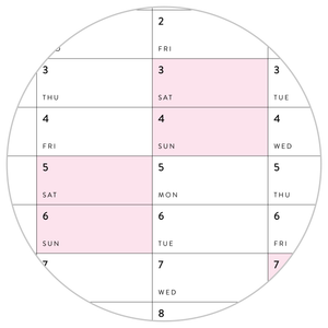 GIANT 2025 ANNUAL WALL CALENDAR | VERTICAL WITH PINK WEEKENDS