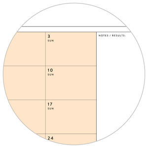 PRINTABLE Q1 (JANUARY - MARCH) 2024 QUARTERLY WALL CALENDAR (ORANGE) - INSTANT DOWNLOAD