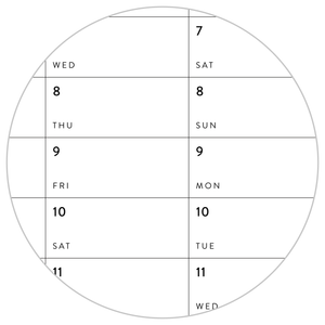 GIANT 2025 ANNUAL WALL CALENDAR | VERTICAL - MINIMAL / CLEAR