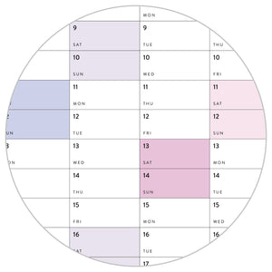 2026 - 2027 JULY Start Academic Wall Calendar | Mid-Year Monthly Planner | Annual Academic Vertical Family Student Teacher (Rainbow)
