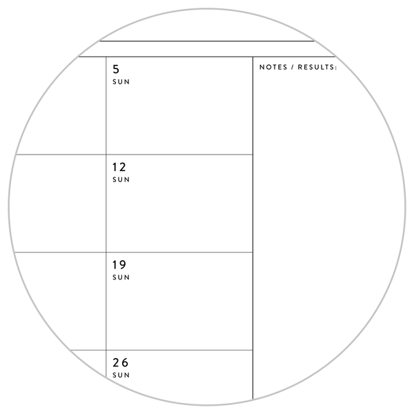 Q4 2025 QUARTERLY GIANT WALL CALENDAR (OCTOBER - DECEMBER 2025) - MINI